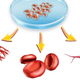 Illustration for article titled Could This Be the End of Embryonic Stem Cell Research?